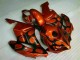 Affordable 2004-2005 Brown Black Honda CBR1000RR Motorcylce Fairings Canada Affordable 2004-2005 Brown Black Honda CBR1000RR Motorcylce Fairings Canada