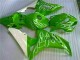 Affordable 2006-2007 Green Honda CBR1000RR Motorbike Fairings Canada Affordable 2006-2007 Green Honda CBR1000RR Motorbike Fairings Canada