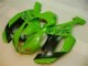 Affordable 2007-2008 Green Black Dunlop Kawasaki ZX6R Motorbike Fairing Kits Canada Affordable 2007-2008 Green Black Dunlop Kawasaki ZX6R Motorbike Fairing Kits Canada